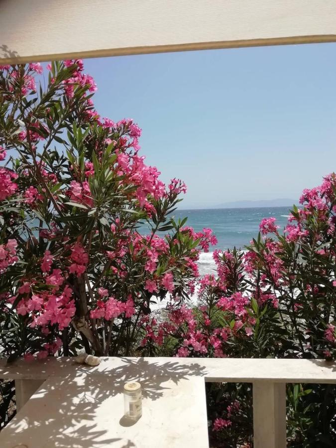 "Sea Front" Rose'S House Villa Kardhiani Ngoại thất bức ảnh