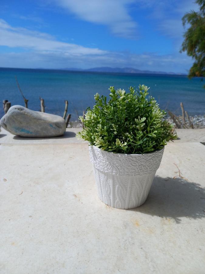 "Sea Front" Rose'S House Villa Kardhiani Ngoại thất bức ảnh