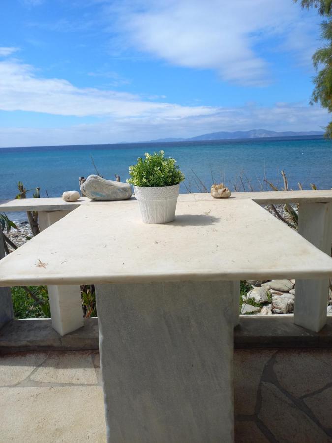 "Sea Front" Rose'S House Villa Kardhiani Ngoại thất bức ảnh